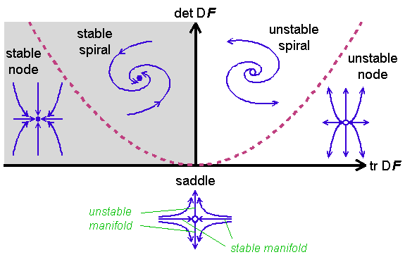 hot to draw phase planes for differential equation systems